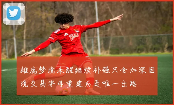 雄鹿梦境未醒继续补强只会加深困境交易字母重建或是唯一出路