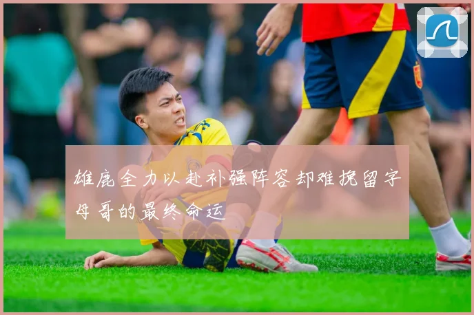 雄鹿全力以赴补强阵容却难挽留字母哥的最终命运