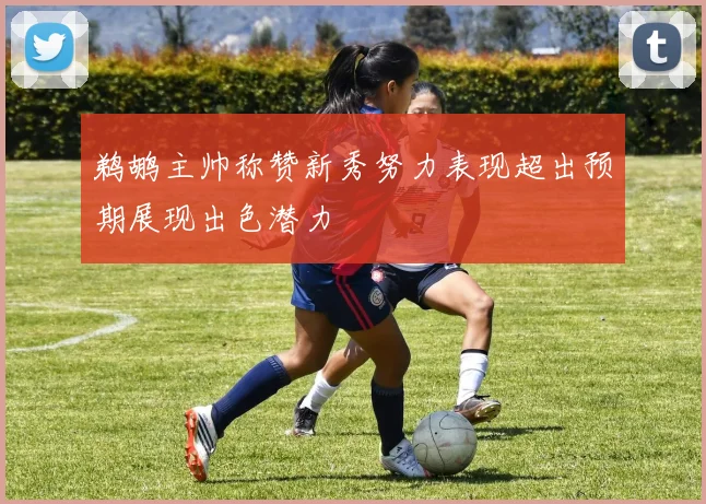 鹈鹕主帅称赞新秀努力表现超出预期展现出色潜力