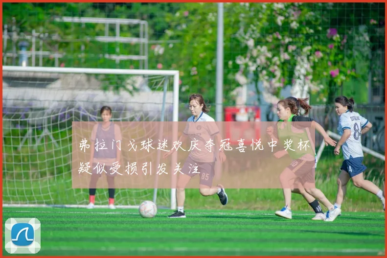 弗拉门戈球迷欢庆夺冠喜悦中奖杯疑似受损引发关注