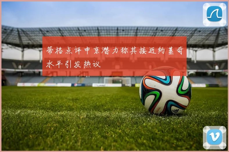蒂格点评申京潜力称其接近约基奇水平引发热议