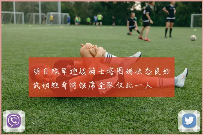 明日绿军迎战骑士塔图姆状态良好武切维奇将缺席全队仅此一人