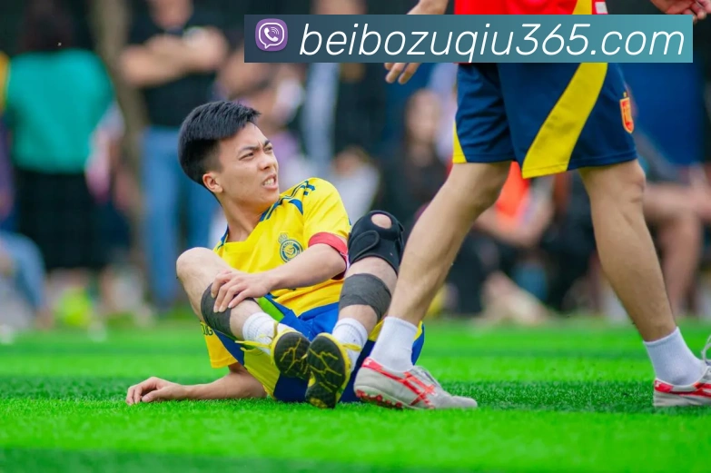 贝博体育平台生态图