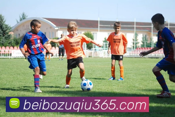 贝博体育全站App